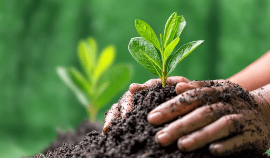 Natural Resource Governance