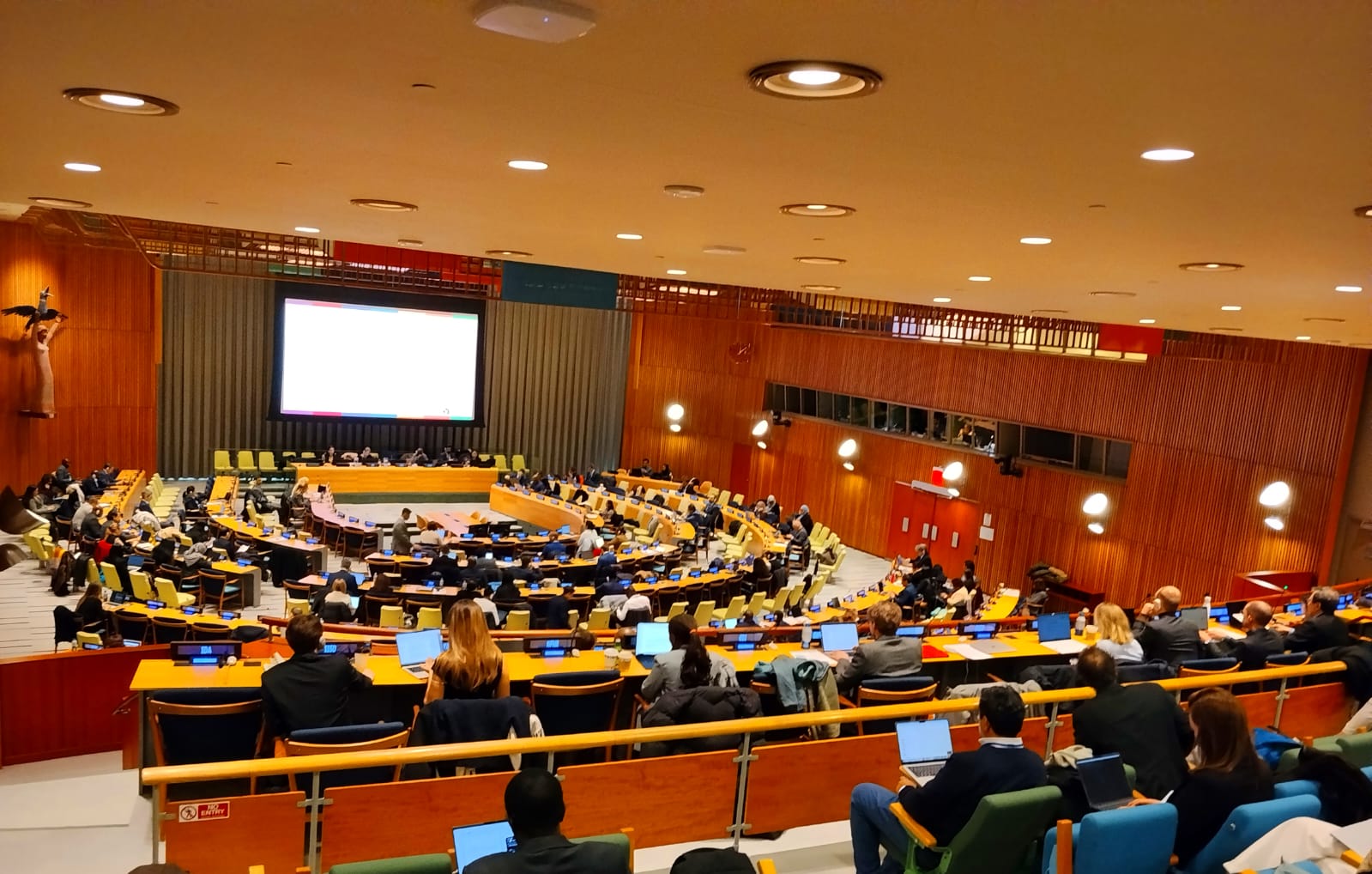 Fourth session of the Intergovernmental Negotiating Committee (INC)