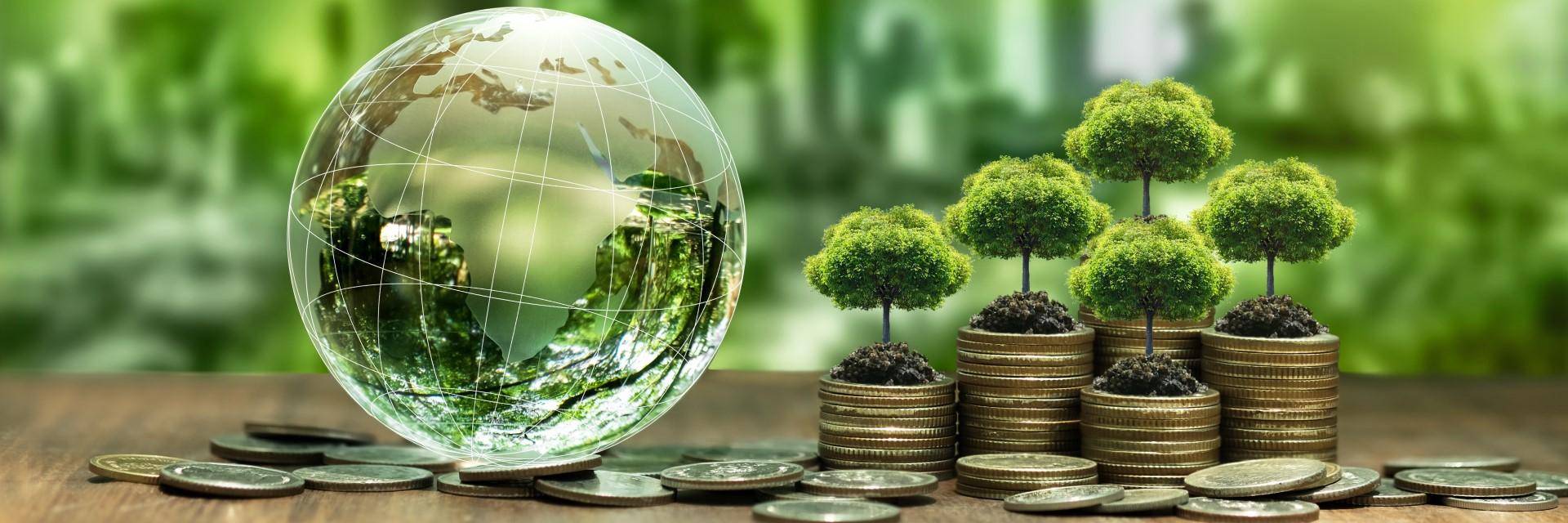 Tax Justice for Sustainable Climate Financing in Africa